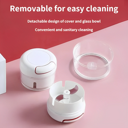 Mini Garlic chopper
